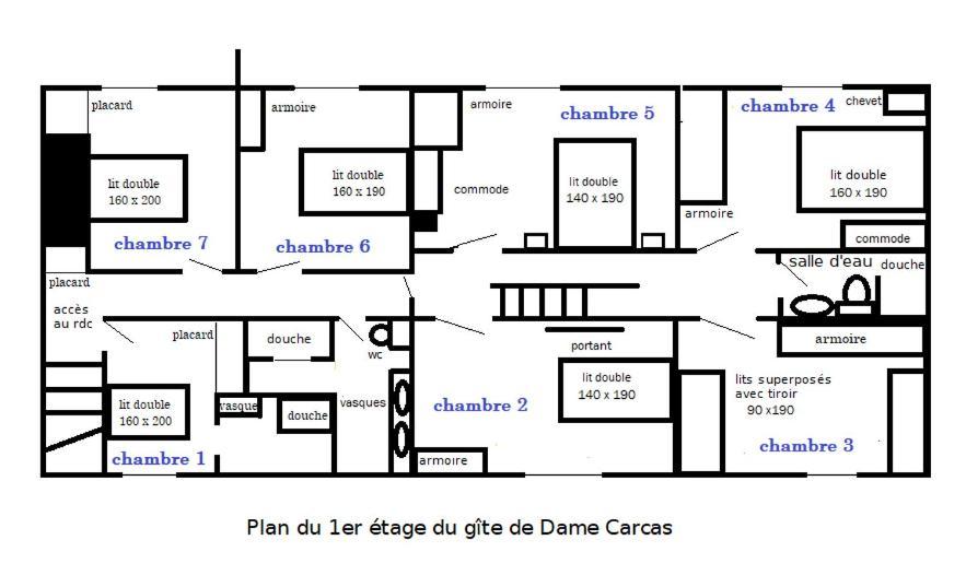 Domaine D'Herminis - Gite De Dame Carcas Carcassonne Exterior foto